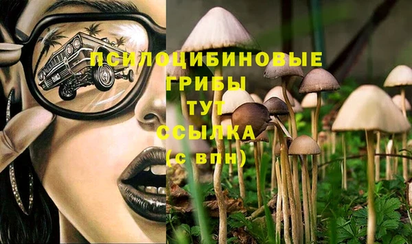 ГАЛЛЮЦИНОГЕННЫЕ ГРИБЫ Зеленодольск