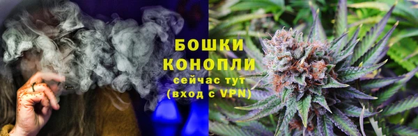 ГАЛЛЮЦИНОГЕННЫЕ ГРИБЫ Зеленодольск