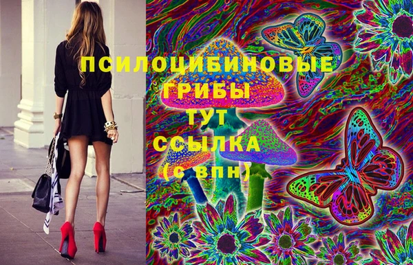 мдпв Зеленокумск