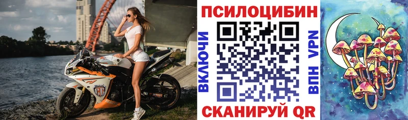Галлюциногенные грибы мицелий  мориарти клад  Ногинск 